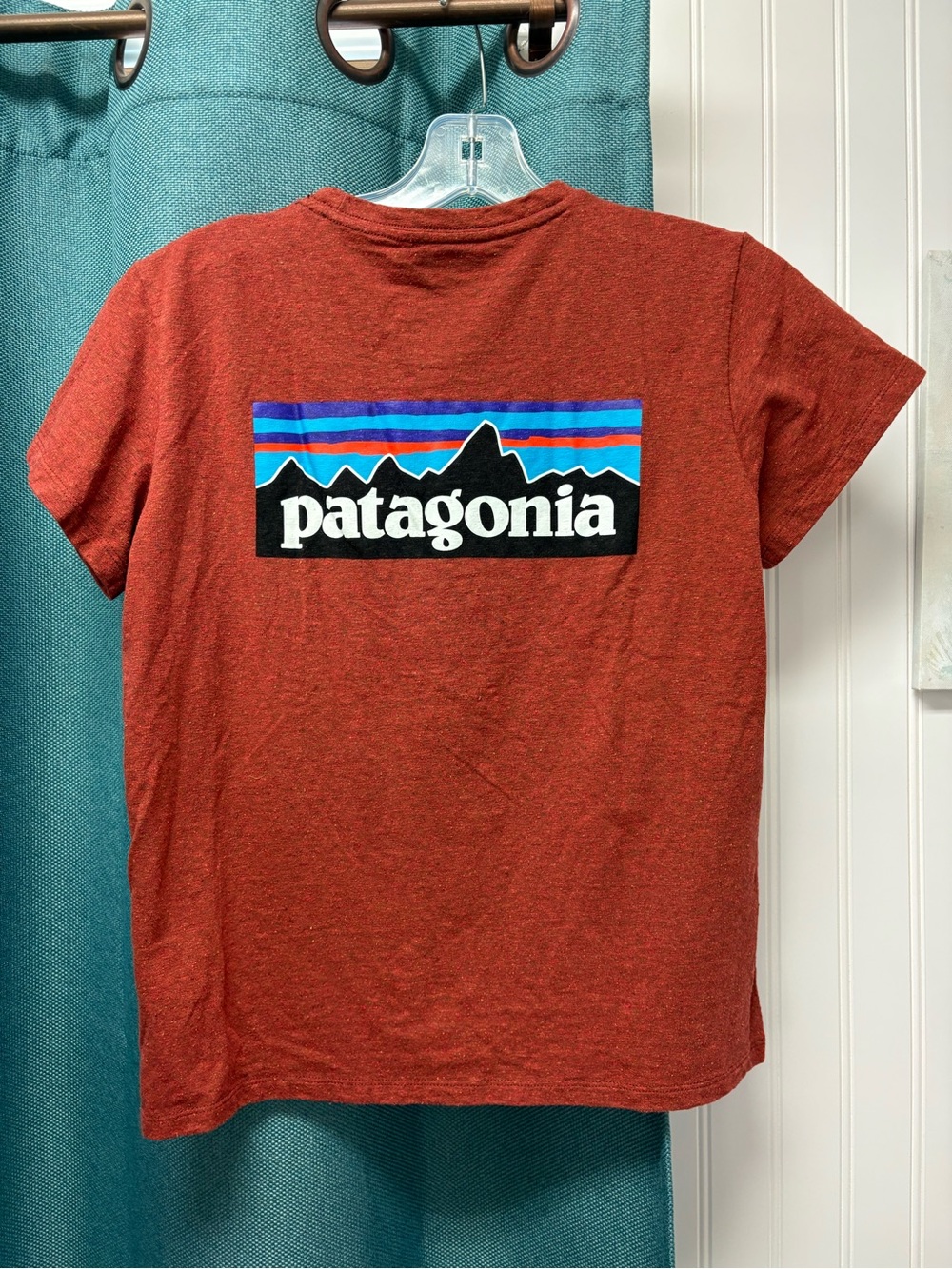 Patagonia Logo Tee in Rust Red Boys Size Small